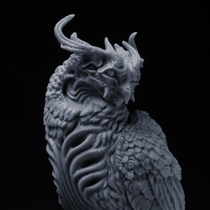 Kojiro - Owl Evolution